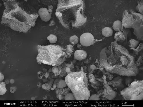 BW2536-PHYS-pseudocul-SEM1
